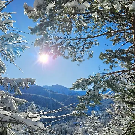 Apartament 920M N.P.M. Zakopane Exteriér fotografie