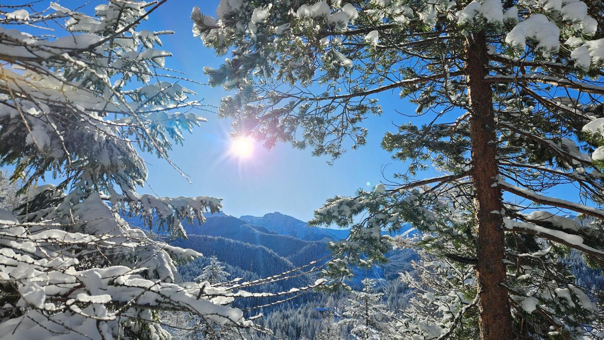 920m N.p.m. * Zakopane
