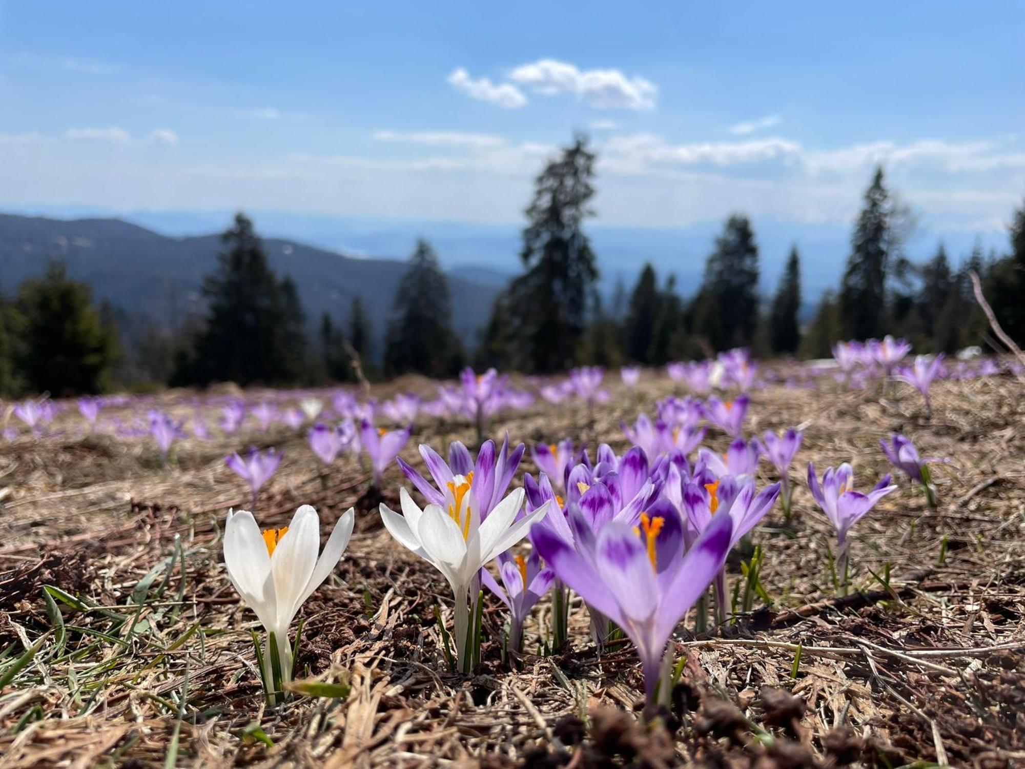 920m N.p.m. Апартаменти